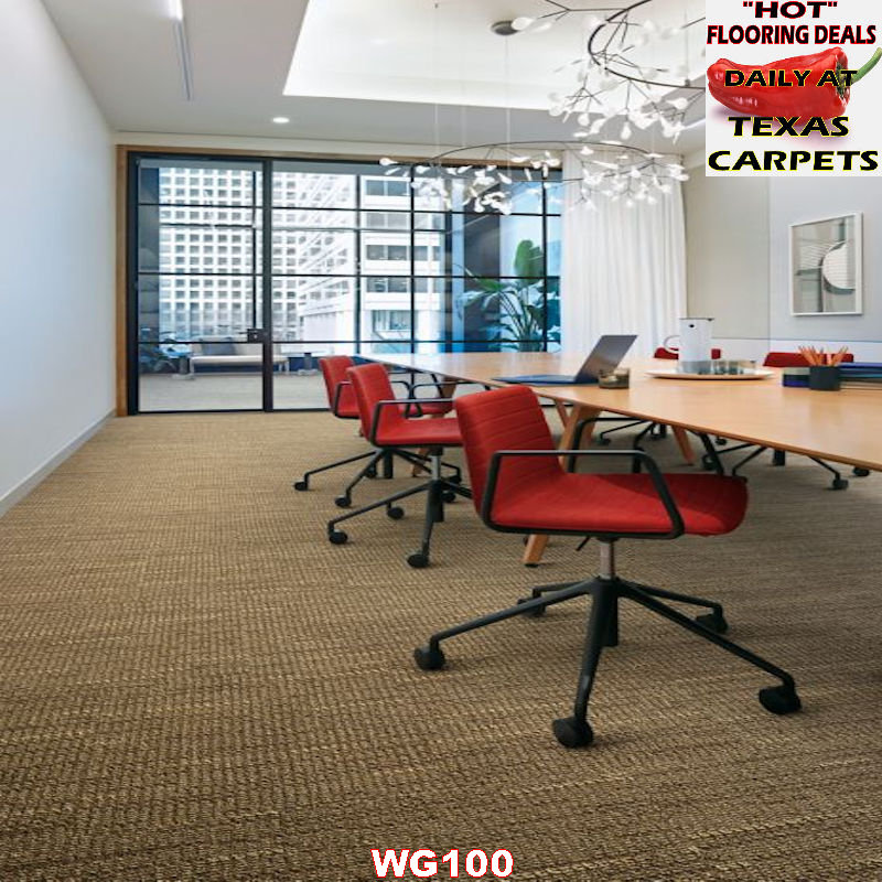 WG100 Interface